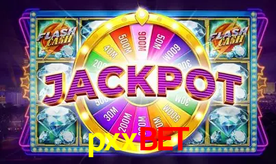 A Experiência Imersiva dos Cassinos Ao Vivo no pxxbet